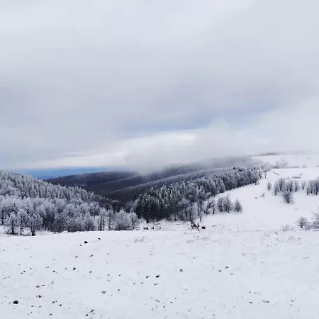 Franzdorf Alpin 3* Văliug