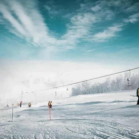 Franzdorf Alpin Penzion